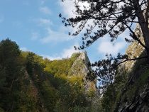 Hogbagy: Štruktúrne formy georeliéfu