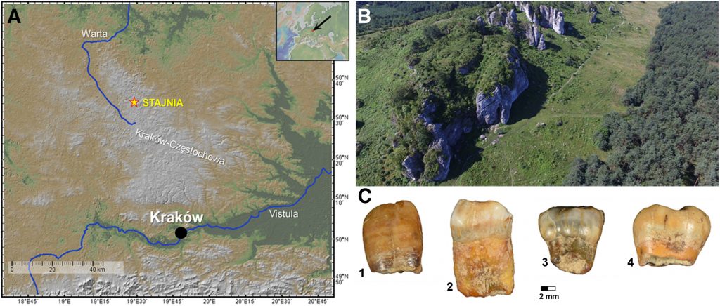 Koláž troch fotografií: Poloha jaskyne, letecký pohľad na jej vstup a zuby neandertalcov