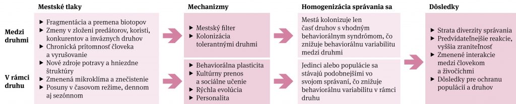 Schéma homogenizácie správania sa zvierat vplyvom urbanizácie