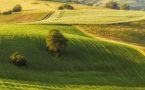Delleny: Vodnogravitačné formy georeliéfu