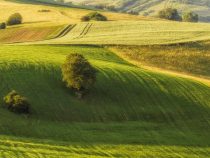 Delleny: Vodnogravitačné formy georeliéfu