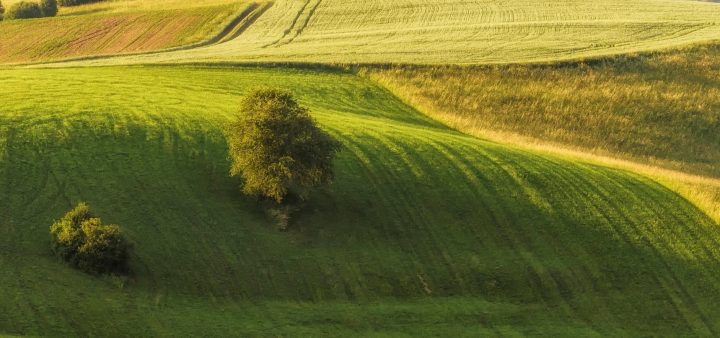 Delleny: Vodnogravitačné formy georeliéfu