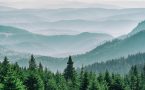 Pôda – vegetácia – atmosféra