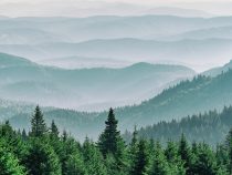 Pôda – vegetácia – atmosféra