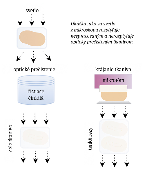 Rozptyl svetla v prečistenom a nespracovanom tkanive