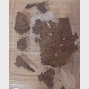 Papyrus s odtlačkom textu