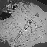 Zobrazenie kosti embrya dinosaura v kamennom vajci s použitím synchrotrónovej mikrotomografie