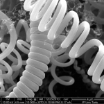 Uhlíkové nanotrubice.