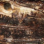 Cestičky Lykožrúta smrekového (Lps typographus).