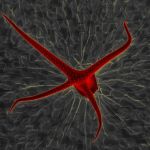 SEM trichómu Arábkovky Thalovej - unikátna štruktúra, ktorú tvorí jedna bunka.